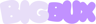 BigBux.io