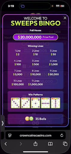 Crown Coins Bingo 1