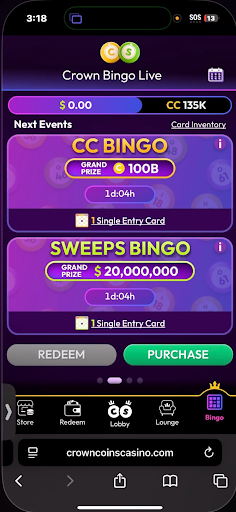 Crown Coins Bingo 2