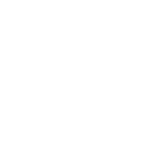 21+ Only Logo